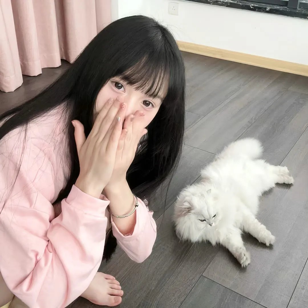 孤儿橄榄球队